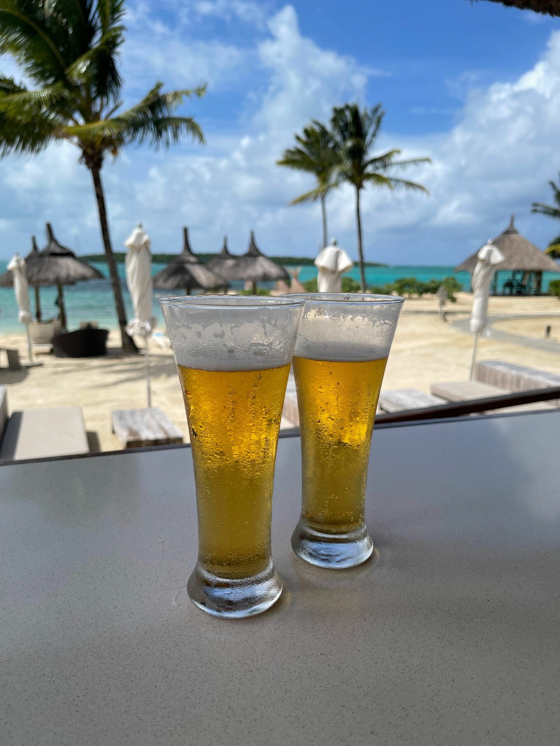 Travelbuddieslifestyle at Mauritius Travelbuddieslifestyle in Mauritius with palm tree views