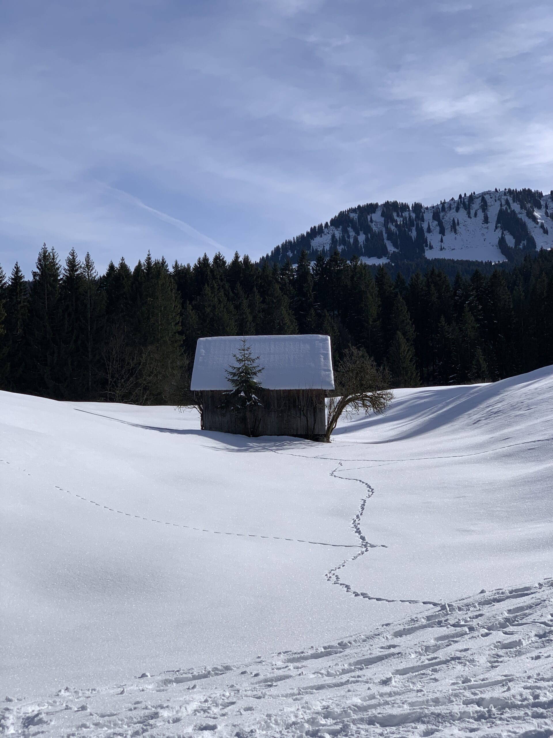 Winter in the Allgäu