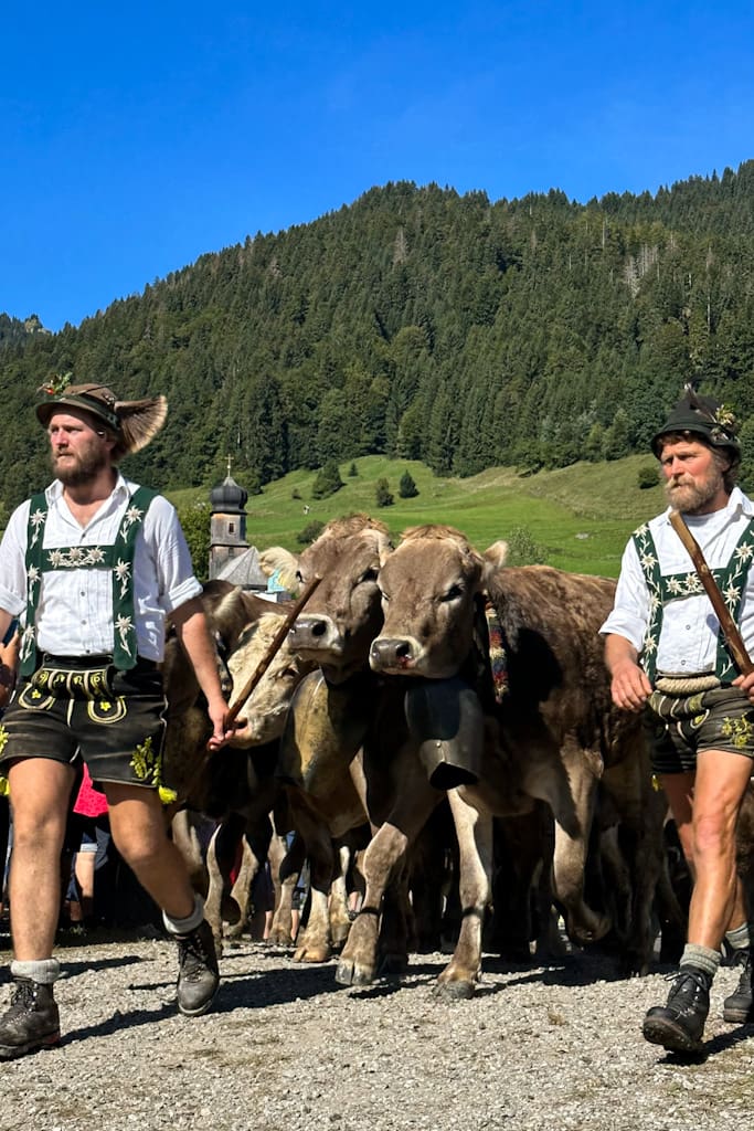 Viehscheid Hirten